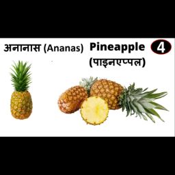 Ananas