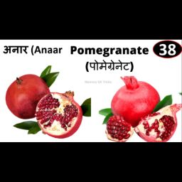 Anar