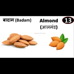 Badam