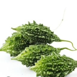 Bitter gourd