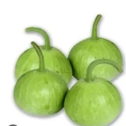 Botle gourd