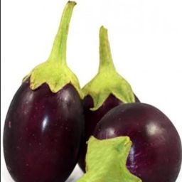Brinjal