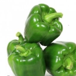 Capsicum 🫑