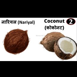 Coconut