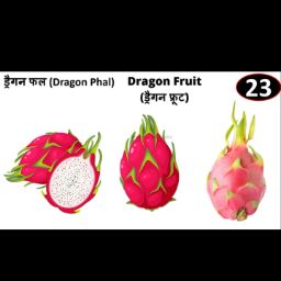Deragan faul