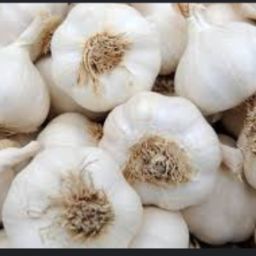 Garlic 🧄