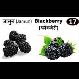 Jamun