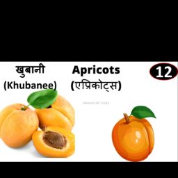 Khubani