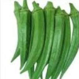Lady finger