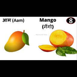 Mango