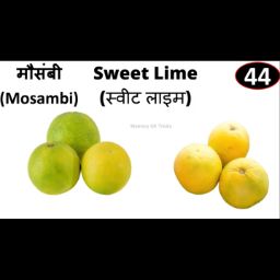 Mosambi