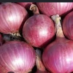 Onion 🧅