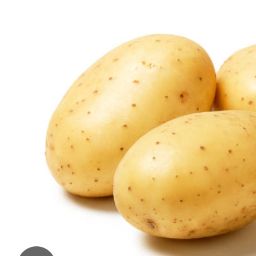 Patato