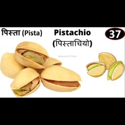 Pista