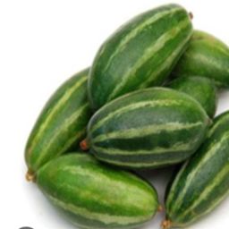 Pointed gourd