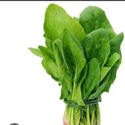 Spinach