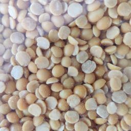 Arhar daal