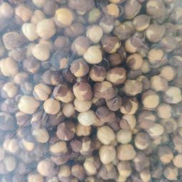 Bhuna chana