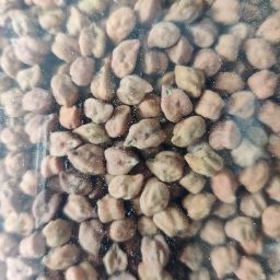 Desi Chana