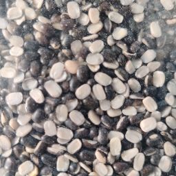 Urad daal