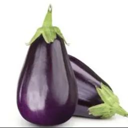Brinjal raund black