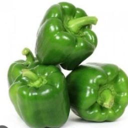 Green Capsicum (Shimla mirch)