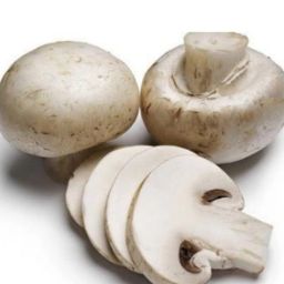 Mashroom (kumbhi)