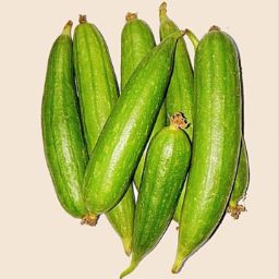 Ridge gourd