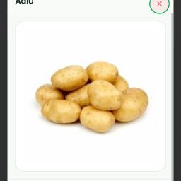 Aalu