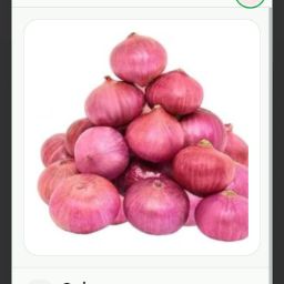 Onion