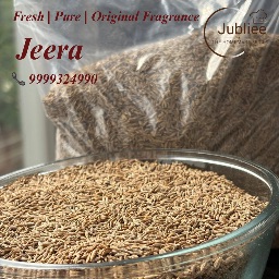 Cumin seeds