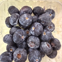 BLUEBERRY JUMBO SIZE
