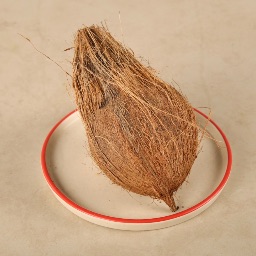 COCONUT