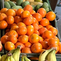Mini ORANGE (Mandarin)