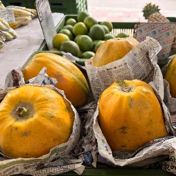 PAPAYA