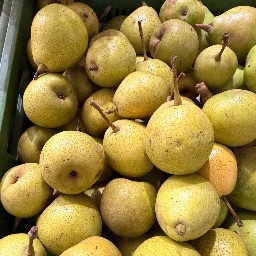 Pear Nakh (Naspati)
