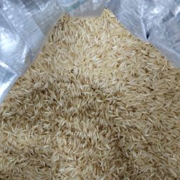 বিরিয়ানী চাল